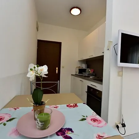 게스트하우스 House Anna For Max 13 Persons In Porec, Pet Friendly 포레치