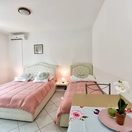 House Anna For Max 13 Persons In Porec, Pet Friendly 4* Poreč
